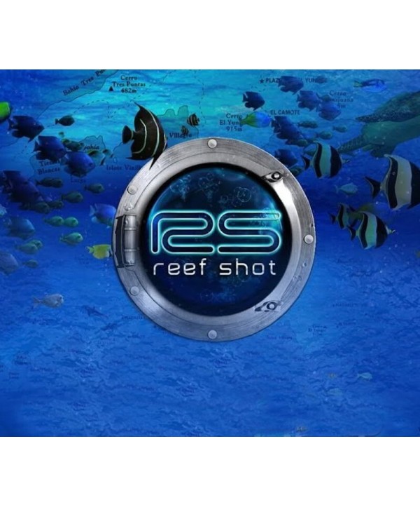 Reef Shot Steam Key GLOBAL